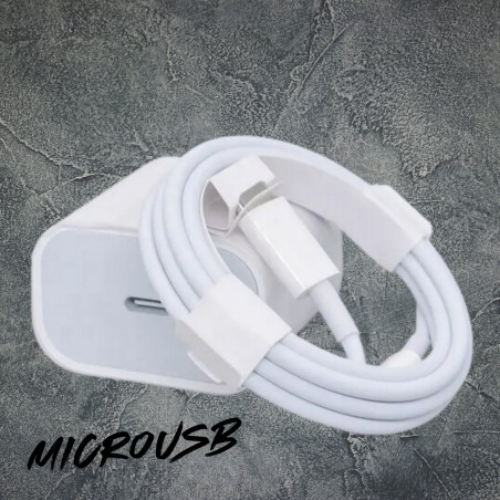 Ładowarka Sieciowa TYP MicroUSB / TYP C - Szybkie Ładowanie