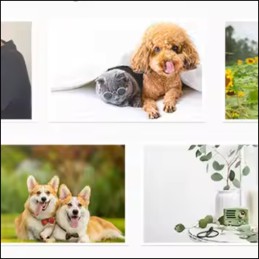 Mobilna drukarka do zdjęć Instax – Bluetooth, bez tuszu, mini rozmiar, zdjęcia z telefonu